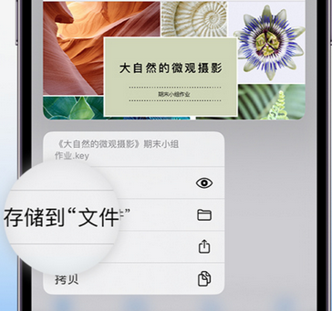 东区apple维修中心分享iPhone文件应用中存储和找到下载文件