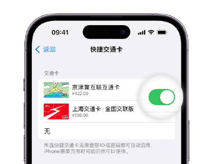 东区apple维修点分享iPhone上更换Apple Pay快捷交通卡手绘卡面 