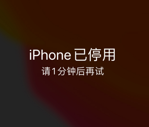 东区苹果手机维修分享:iPhone 显示“不可用”或“已停用”怎么办？还能保留数据吗？ 