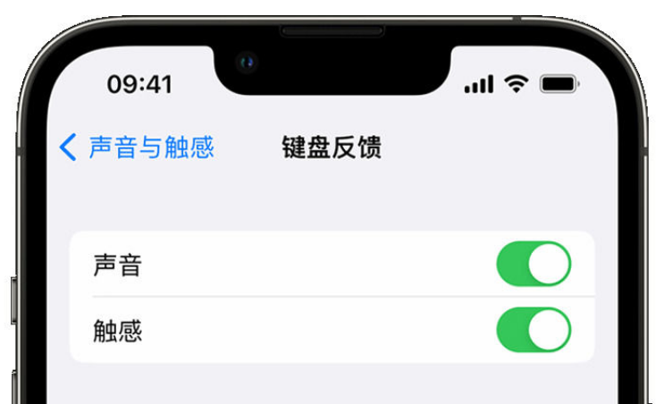 东区苹果手机维修分享iPhone 14触感键盘使用方法 