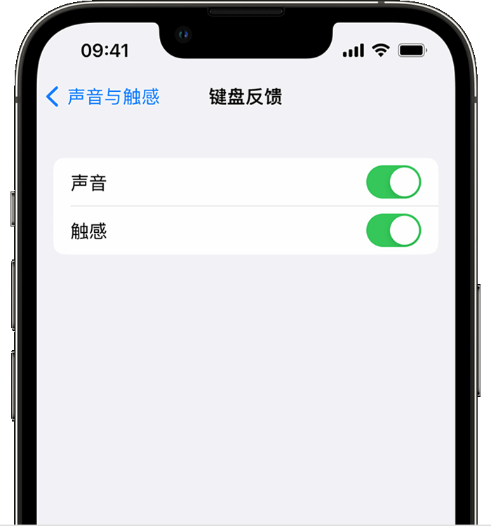 东区苹果14维修店分享如何在 iPhone 14 机型中使用触感键盘 