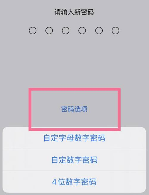 东区苹果14维修分享iPhone 14plus设置密码的方法 