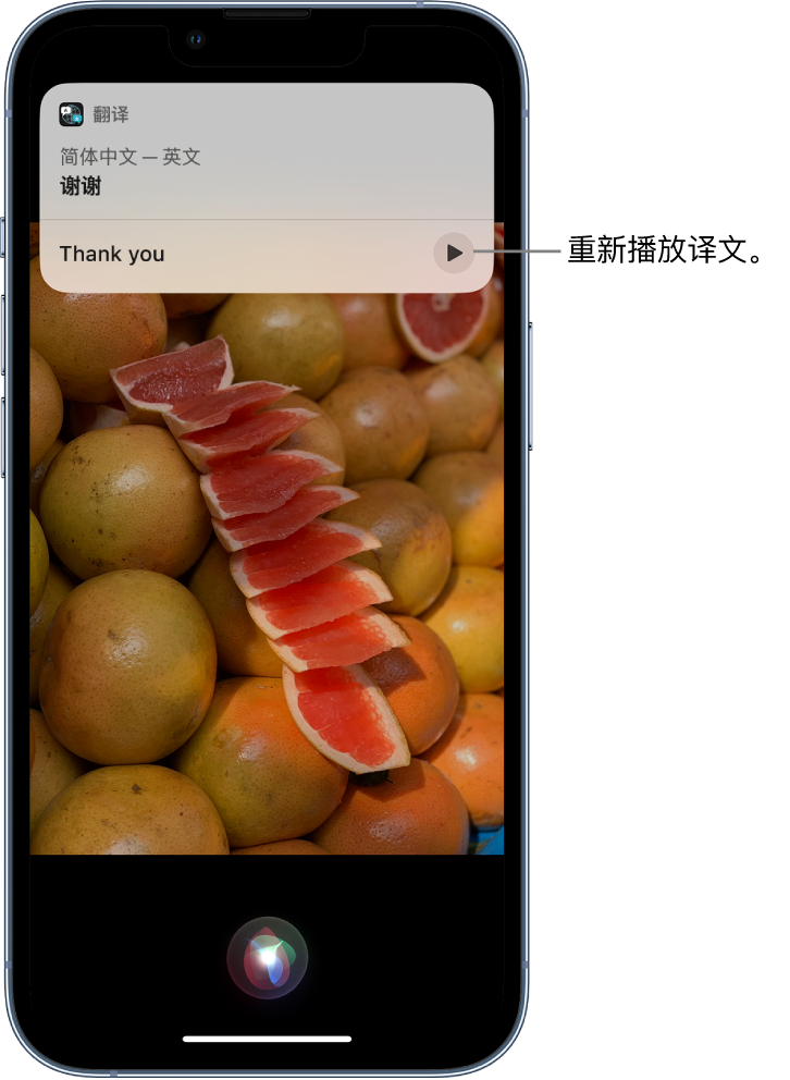 东区苹果14维修分享 iPhone 14 机型中使用 Siri：了解 Siri 能帮你做什么 