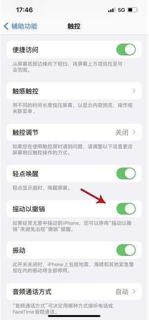 东区苹果手机维修分享iPhone手机如何设置摇一摇删除文字 